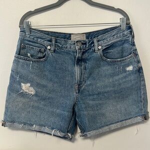 Everlane The Denim Short